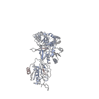 9714_6ira_B_v1-1
Structure of the human GluN1/GluN2A NMDA receptor in the glutamate/glycine-bound state at pH 7.8