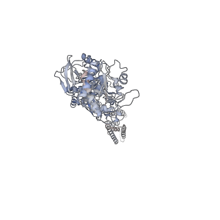 9714_6ira_C_v1-1
Structure of the human GluN1/GluN2A NMDA receptor in the glutamate/glycine-bound state at pH 7.8
