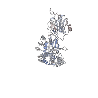 9714_6ira_D_v1-1
Structure of the human GluN1/GluN2A NMDA receptor in the glutamate/glycine-bound state at pH 7.8