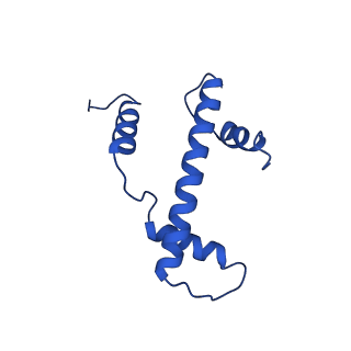 9720_6iro_A_v1-2
the crosslinked complex of ISWI-nucleosome in the ADP-bound state