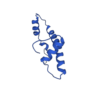 9720_6iro_B_v1-2
the crosslinked complex of ISWI-nucleosome in the ADP-bound state