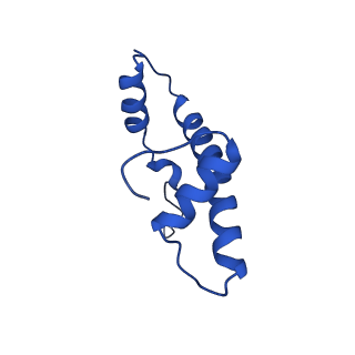 9720_6iro_B_v1-3
the crosslinked complex of ISWI-nucleosome in the ADP-bound state