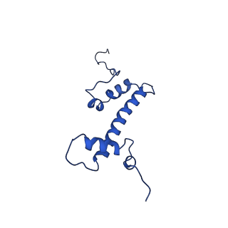 9720_6iro_C_v1-2
the crosslinked complex of ISWI-nucleosome in the ADP-bound state