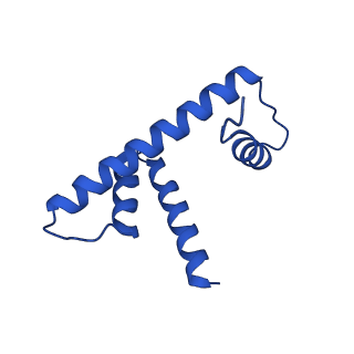 9720_6iro_D_v1-3
the crosslinked complex of ISWI-nucleosome in the ADP-bound state