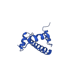 9720_6iro_E_v1-2
the crosslinked complex of ISWI-nucleosome in the ADP-bound state