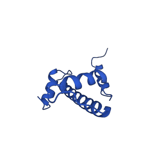 9720_6iro_E_v1-3
the crosslinked complex of ISWI-nucleosome in the ADP-bound state