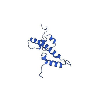 9720_6iro_G_v1-2
the crosslinked complex of ISWI-nucleosome in the ADP-bound state