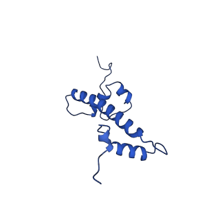 9720_6iro_G_v1-3
the crosslinked complex of ISWI-nucleosome in the ADP-bound state