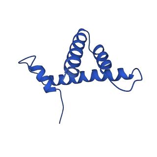 9720_6iro_H_v1-3
the crosslinked complex of ISWI-nucleosome in the ADP-bound state