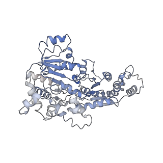 9720_6iro_L_v1-2
the crosslinked complex of ISWI-nucleosome in the ADP-bound state
