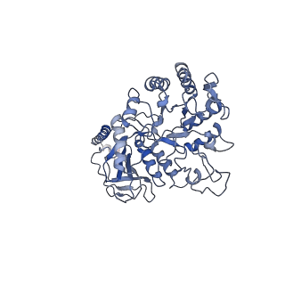 9721_6irs_A_v2-0
human LAT1-4F2hc complex incubated with JPH203