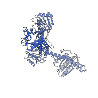 35693_8isk_A_v1-1
Pr conformer of Zea mays phytochrome A1 - ZmphyA1-Pr