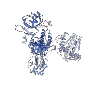 35693_8isk_B_v1-1
Pr conformer of Zea mays phytochrome A1 - ZmphyA1-Pr