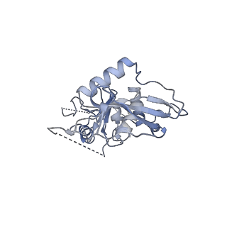 35694_8iss_B_v1-0
Cryo-EM structure of wild-type human tRNA Splicing Endonuclease Complex bound to pre-tRNA-ARG at 3.19 A resolution