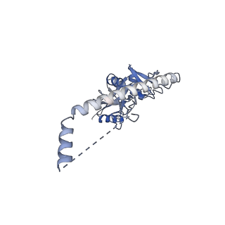 35694_8iss_C_v1-0
Cryo-EM structure of wild-type human tRNA Splicing Endonuclease Complex bound to pre-tRNA-ARG at 3.19 A resolution