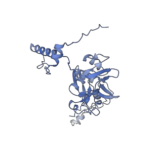 35694_8iss_D_v1-0
Cryo-EM structure of wild-type human tRNA Splicing Endonuclease Complex bound to pre-tRNA-ARG at 3.19 A resolution