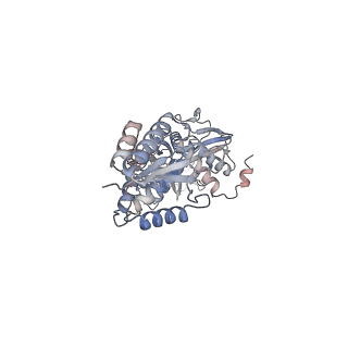 35701_8isz_B_v1-1
Cryo-EM structure of Crt-SPARTA-gRNA-tDNA monomer