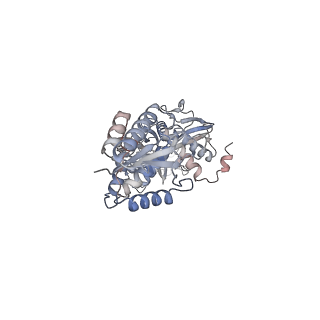 35701_8isz_B_v1-2
Cryo-EM structure of Crt-SPARTA-gRNA-tDNA monomer