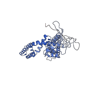 8119_5is0_B_v1-4
Structure of TRPV1 in complex with capsazepine, determined in lipid nanodisc
