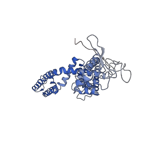 8119_5is0_B_v1-5
Structure of TRPV1 in complex with capsazepine, determined in lipid nanodisc