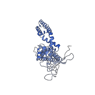 8119_5is0_C_v1-4
Structure of TRPV1 in complex with capsazepine, determined in lipid nanodisc