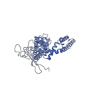 8119_5is0_D_v1-4
Structure of TRPV1 in complex with capsazepine, determined in lipid nanodisc