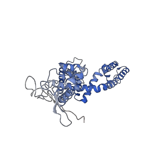 8119_5is0_D_v1-5
Structure of TRPV1 in complex with capsazepine, determined in lipid nanodisc