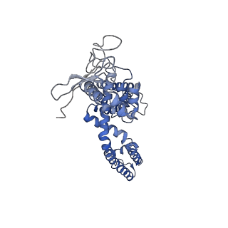 8119_5is0_E_v1-4
Structure of TRPV1 in complex with capsazepine, determined in lipid nanodisc