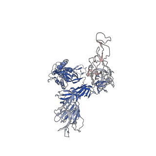 35328_8itu_A_v1-0
SARS-CoV-2 Omicron BA.1 Spike glycoprotein in complex with rabbit monoclonal antibody 1H1 IgG.