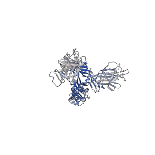 35328_8itu_C_v1-0
SARS-CoV-2 Omicron BA.1 Spike glycoprotein in complex with rabbit monoclonal antibody 1H1 IgG.