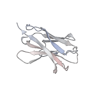 35328_8itu_I_v1-0
SARS-CoV-2 Omicron BA.1 Spike glycoprotein in complex with rabbit monoclonal antibody 1H1 IgG.