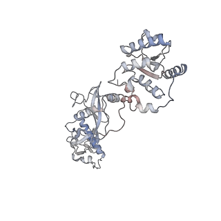 35702_8it0_B_v1-1
Cryo-EM structure of Crt-SPARTA-gRNA-tDNA dimer (conformation-2)