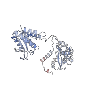 35702_8it0_F_v1-1
Cryo-EM structure of Crt-SPARTA-gRNA-tDNA dimer (conformation-2)