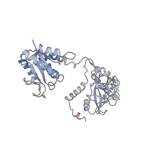 35702_8it0_F_v1-2
Cryo-EM structure of Crt-SPARTA-gRNA-tDNA dimer (conformation-2)