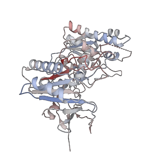 35703_8it1_A_v1-0
Cryo-EM structure of Crt-SPARTA-gRNA-tDNA tetramer (NADase active form)