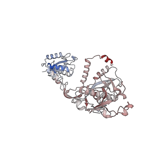 35703_8it1_B_v1-1
Cryo-EM structure of Crt-SPARTA-gRNA-tDNA tetramer (NADase active form)