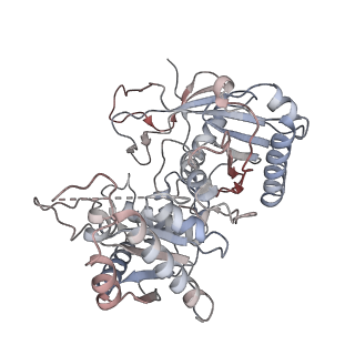 35703_8it1_E_v1-0
Cryo-EM structure of Crt-SPARTA-gRNA-tDNA tetramer (NADase active form)