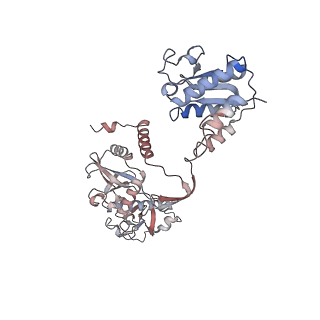 35703_8it1_J_v1-0
Cryo-EM structure of Crt-SPARTA-gRNA-tDNA tetramer (NADase active form)