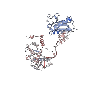 35703_8it1_J_v1-1
Cryo-EM structure of Crt-SPARTA-gRNA-tDNA tetramer (NADase active form)