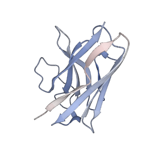 35705_8itf_N_v1-2
Cryo-EM structure of the DMCHA-bound mTAAR9-Gs complex