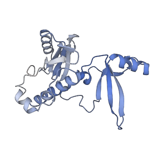 35712_8ity_E_v1-1
human RNA polymerase III pre-initiation complex closed DNA 1