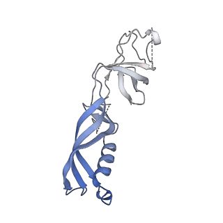 35712_8ity_G_v1-1
human RNA polymerase III pre-initiation complex closed DNA 1