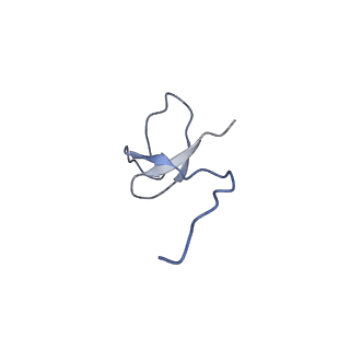 35712_8ity_L_v1-1
human RNA polymerase III pre-initiation complex closed DNA 1