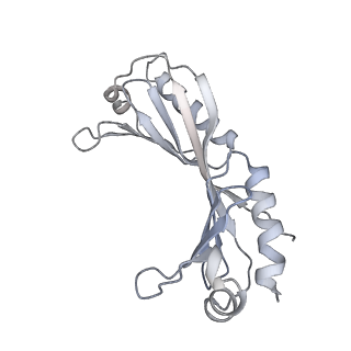 35712_8ity_U_v1-1
human RNA polymerase III pre-initiation complex closed DNA 1