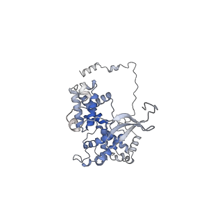 35712_8ity_V_v1-1
human RNA polymerase III pre-initiation complex closed DNA 1
