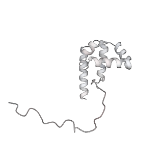 35712_8ity_W_v1-1
human RNA polymerase III pre-initiation complex closed DNA 1