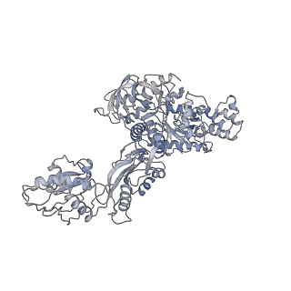 8123_5it7_1_v1-4
Structure of the Kluyveromyces lactis 80S ribosome in complex with the cricket paralysis virus IRES and eEF2