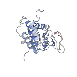 8123_5it7_A_v1-4
Structure of the Kluyveromyces lactis 80S ribosome in complex with the cricket paralysis virus IRES and eEF2
