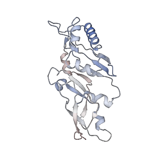 8123_5it7_B_v1-4
Structure of the Kluyveromyces lactis 80S ribosome in complex with the cricket paralysis virus IRES and eEF2