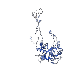 8123_5it7_CC_v1-4
Structure of the Kluyveromyces lactis 80S ribosome in complex with the cricket paralysis virus IRES and eEF2